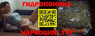spice Обь